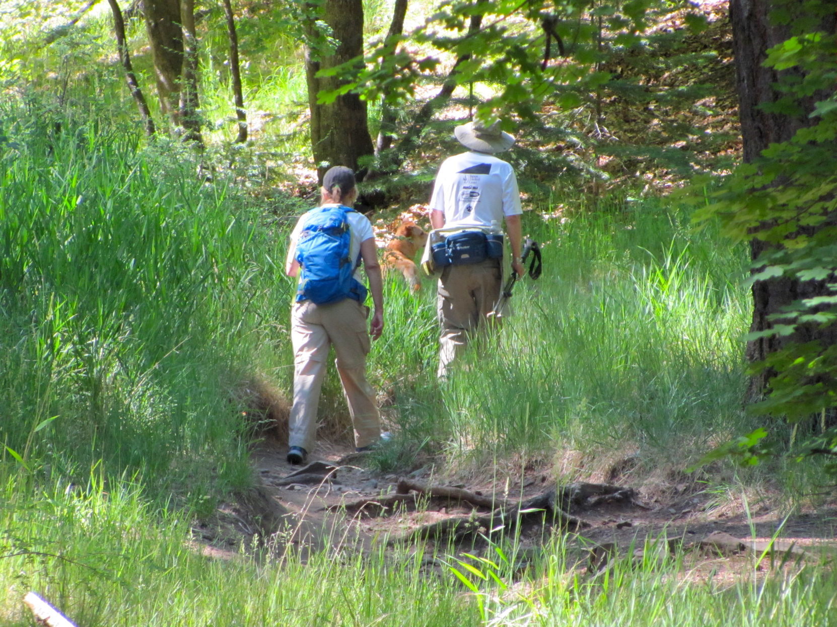 Hikers in Bear Wallow